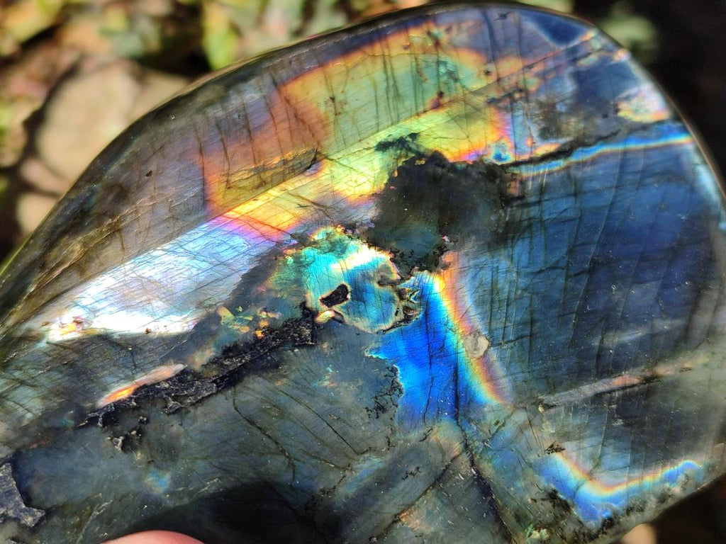 Polished Spectrolite Labradorite Standing Display Pieces x 2 From Madagascar - Toprock Gemstones and Minerals 
