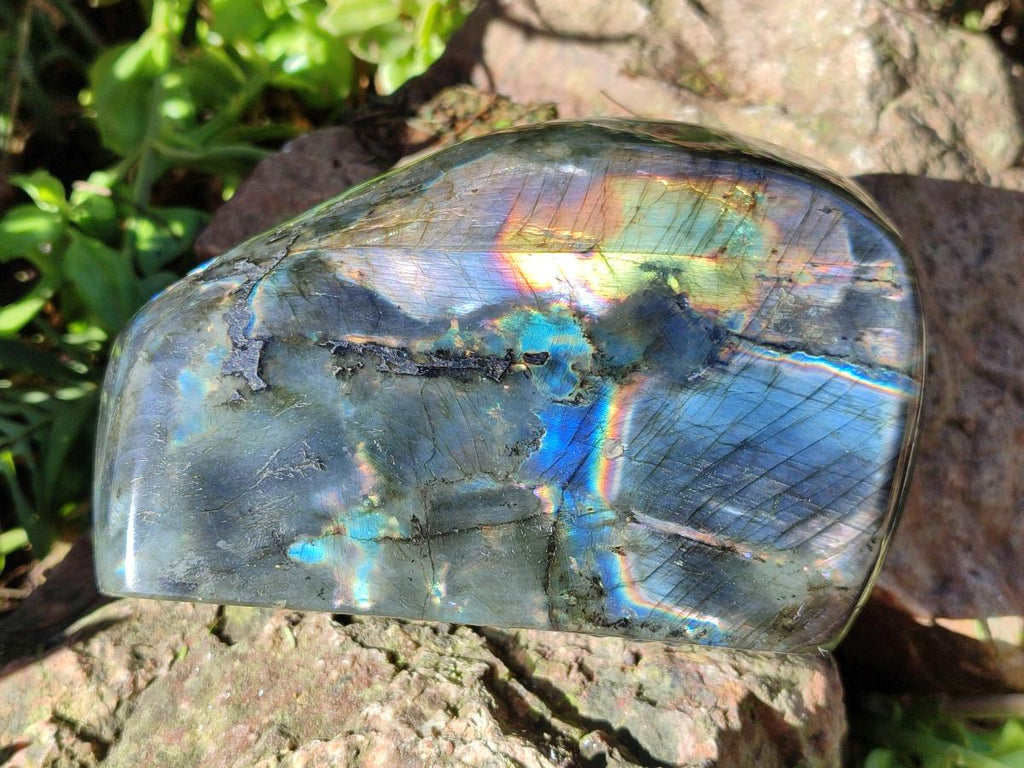 Polished Spectrolite Labradorite Standing Display Pieces x 2 From Madagascar - Toprock Gemstones and Minerals 