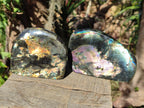 Polished Spectrolite Labradorite Standing Display Pieces x 2 From Madagascar - Toprock Gemstones and Minerals 