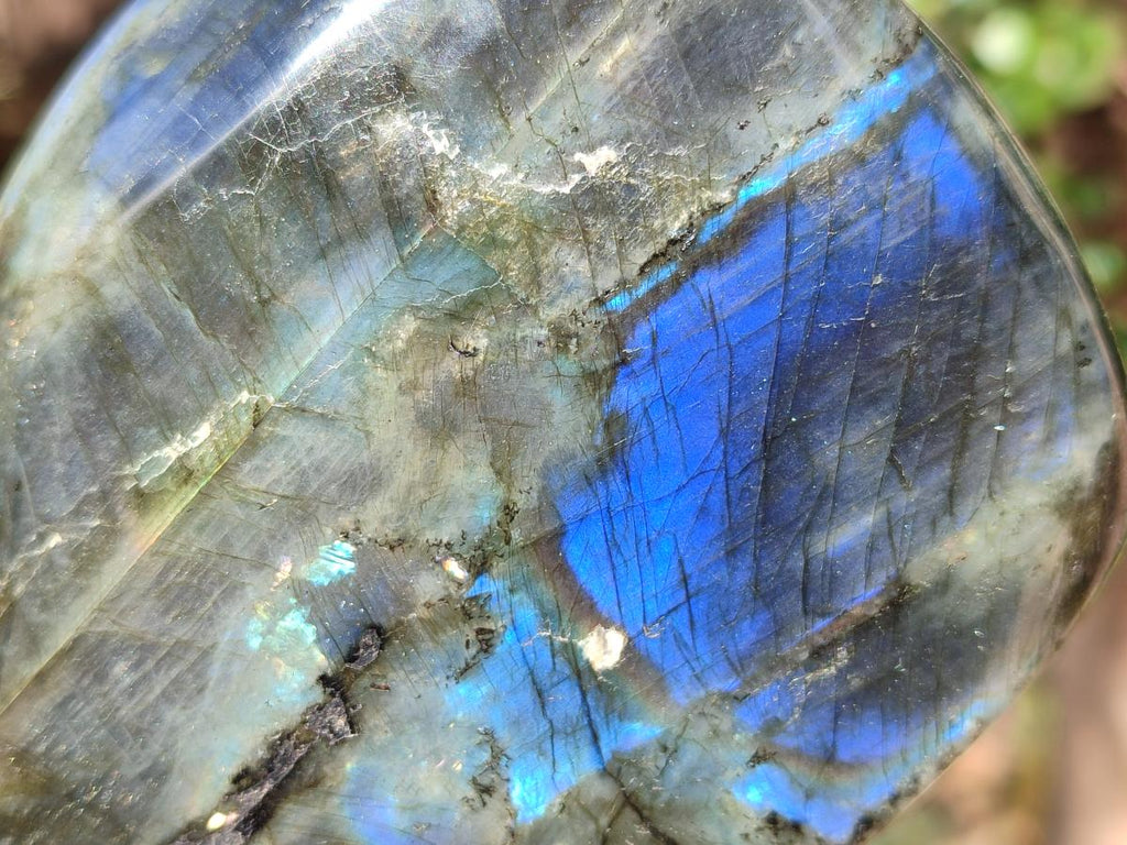 Polished Spectrolite Labradorite Standing Display Pieces x 2 From Madagascar - Toprock Gemstones and Minerals 