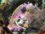Polished Spectrolite Labradorite Standing Display Pieces x 2 From Madagascar - Toprock Gemstones and Minerals 