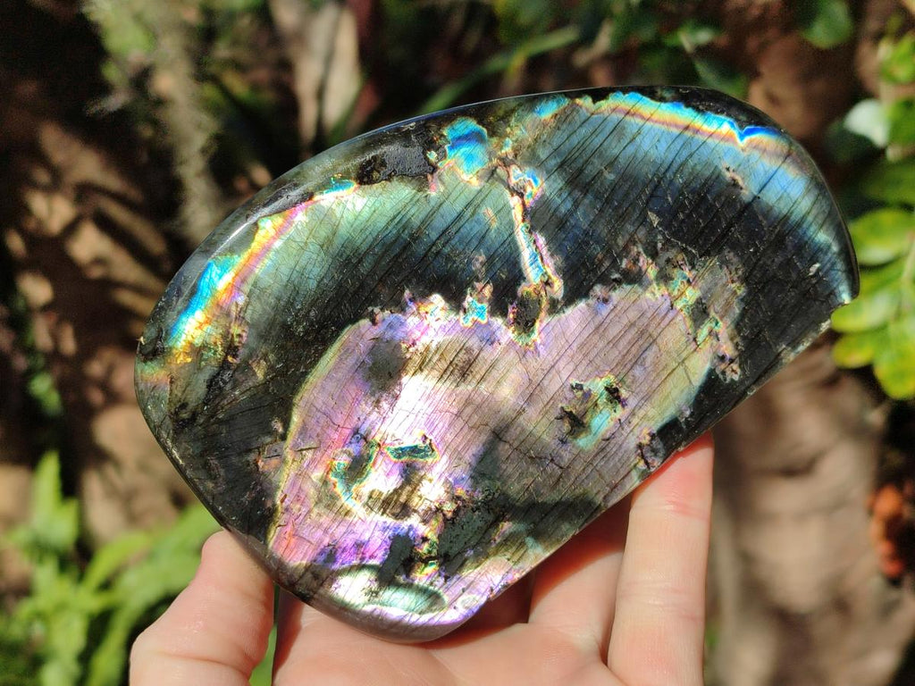 Polished Spectrolite Labradorite Standing Display Pieces x 2 From Madagascar - Toprock Gemstones and Minerals 