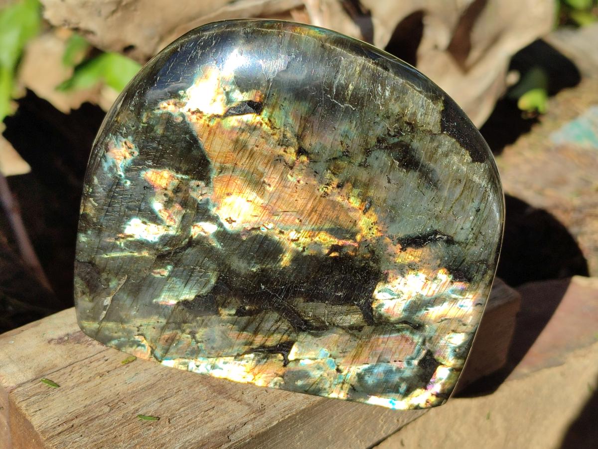 Polished Spectrolite Labradorite Standing Display Pieces x 2 From Madagascar - Toprock Gemstones and Minerals 