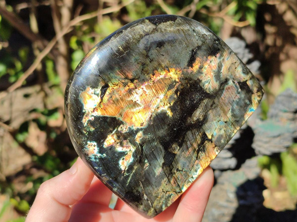 Polished Spectrolite Labradorite Standing Display Pieces x 2 From Madagascar - Toprock Gemstones and Minerals 