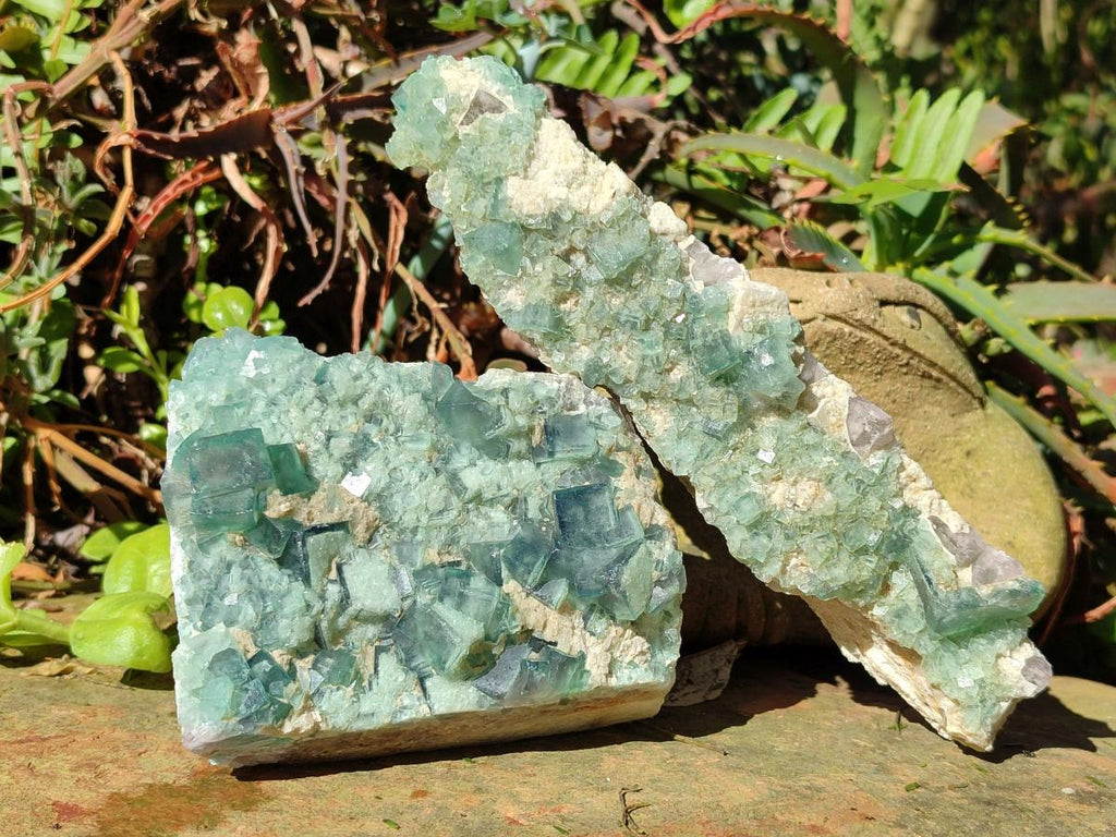 Natural Green Cubic Fluorite Specimens x 4 From Mandrosonoro, Madagascar - Toprock Gemstones and Minerals 