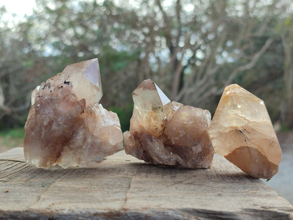 Natural Cascading Citrine Quartz Crystals x 24 From Luena, Congo - Toprock Gemstones and Minerals 