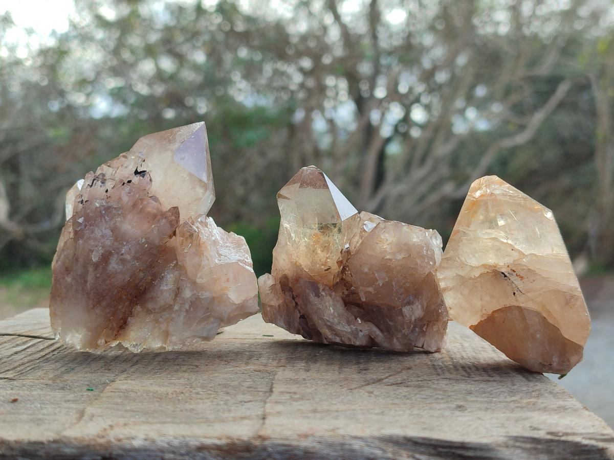 Natural Cascading Citrine Quartz Crystals x 24 From Luena, Congo - Toprock Gemstones and Minerals 