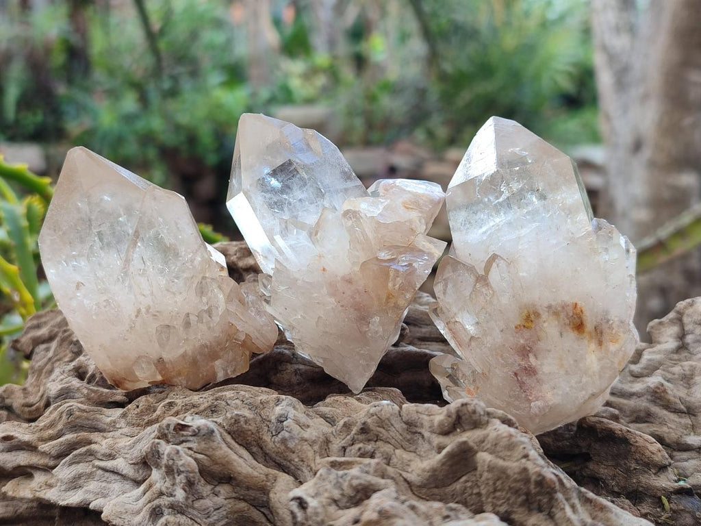 Natural Cascading Citrine Quartz Crystals x 24 From Luena, Congo - Toprock Gemstones and Minerals 