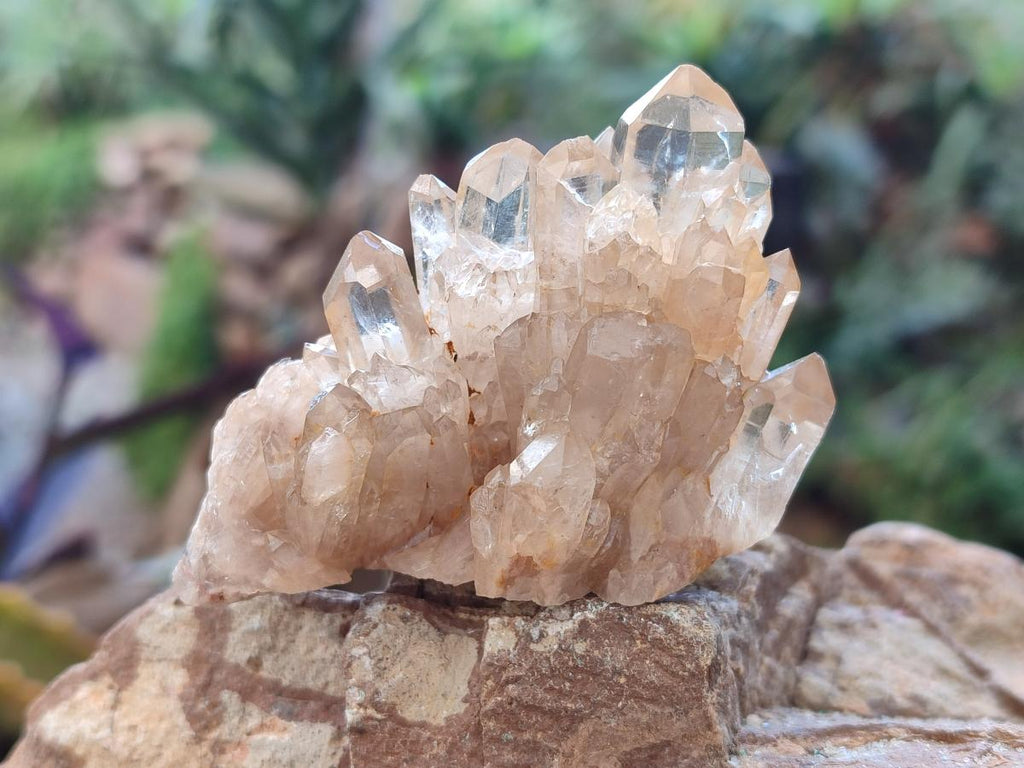 Natural Cascading Citrine Quartz Crystals x 24 From Luena, Congo - Toprock Gemstones and Minerals 