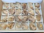 Natural Cascading Citrine Quartz Crystals x 24 From Luena, Congo - Toprock Gemstones and Minerals 