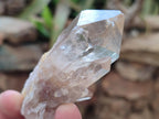 Natural Cascading Citrine Quartz Crystals x 24 From Luena, Congo - Toprock Gemstones and Minerals 