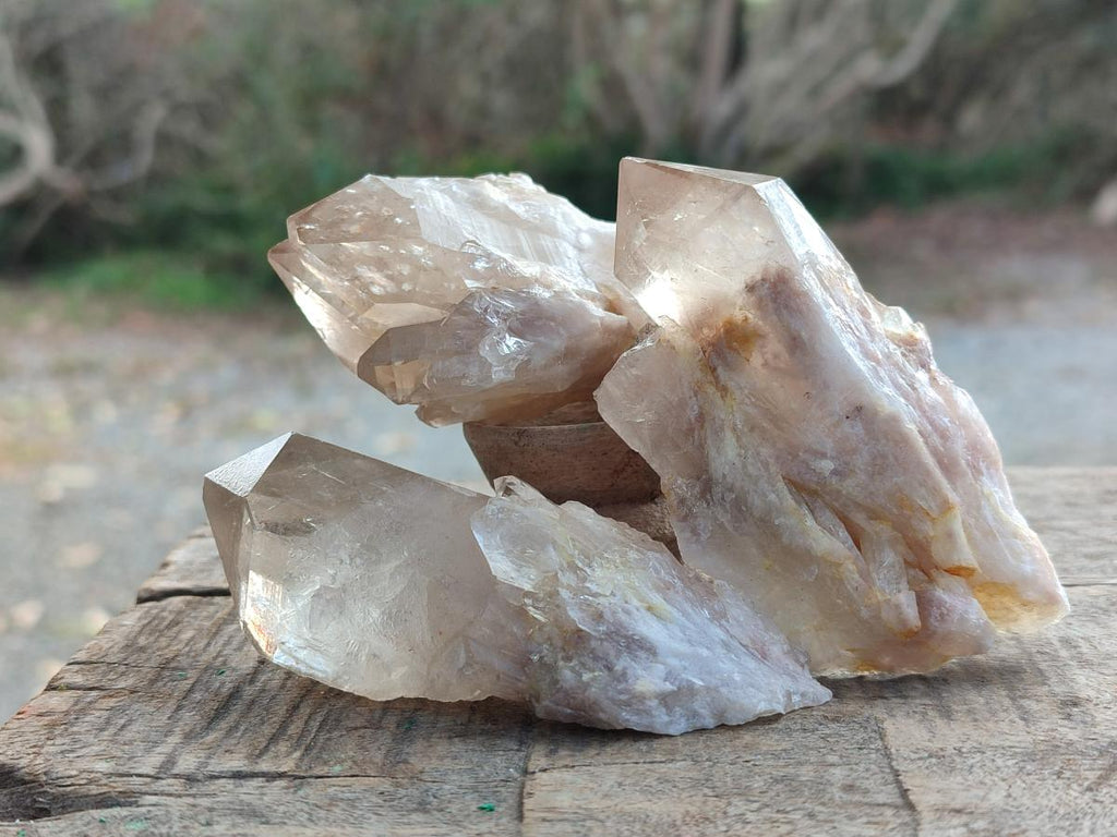 Natural Cascading Citrine Quartz Crystals x 24 From Luena, Congo - Toprock Gemstones and Minerals 