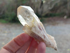 Natural Cascading Citrine Quartz Crystals x 24 From Luena, Congo - Toprock Gemstones and Minerals 