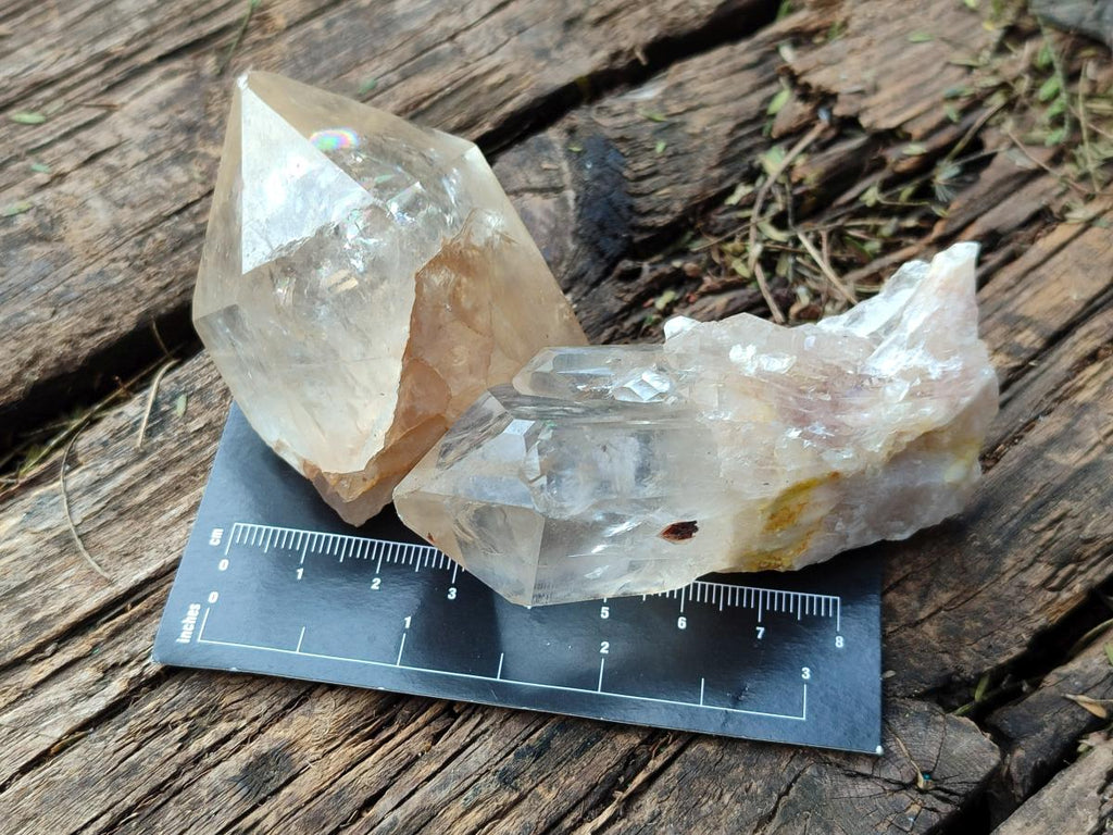 Natural Cascading Citrine Quartz Crystals x 24 From Luena, Congo - Toprock Gemstones and Minerals 