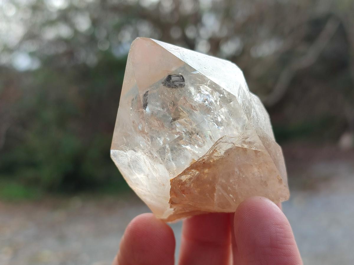 Natural Cascading Citrine Quartz Crystals x 24 From Luena, Congo - Toprock Gemstones and Minerals 