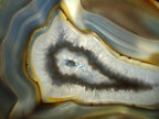Polished and Natural Banded Agate Slices with Natural Edging x 6 From Madagascar - Toprock Gemstones and Minerals 