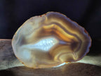 Polished and Natural Banded Agate Slices with Natural Edging x 6 From Madagascar - Toprock Gemstones and Minerals 