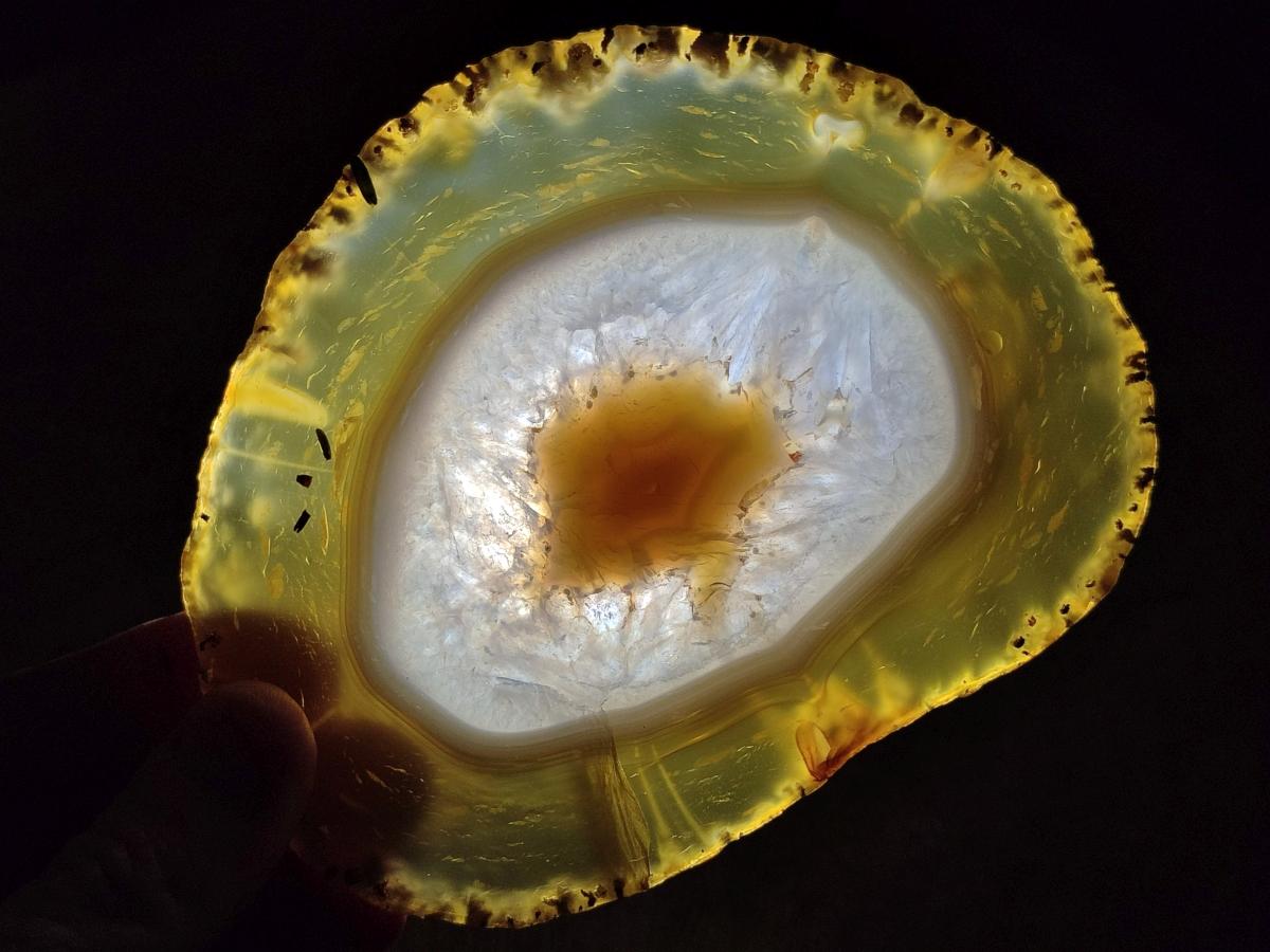 Polished and Natural Banded Agate Slices with Natural Edging x 6 From Madagascar - Toprock Gemstones and Minerals 