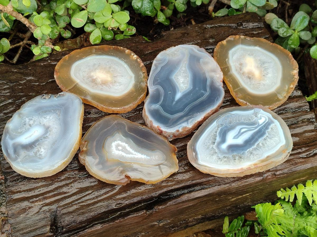Polished and Natural Banded Agate Slices with Natural Edging x 6 From Madagascar - Toprock Gemstones and Minerals 