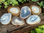 Polished and Natural Banded Agate Slices with Natural Edging x 6 From Madagascar - Toprock Gemstones and Minerals 