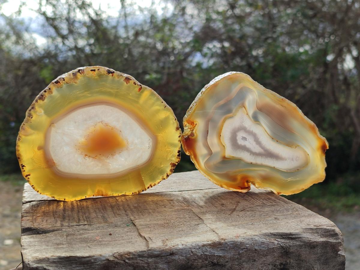 Polished and Natural Banded Agate Slices with Natural Edging x 6 From Madagascar - Toprock Gemstones and Minerals 