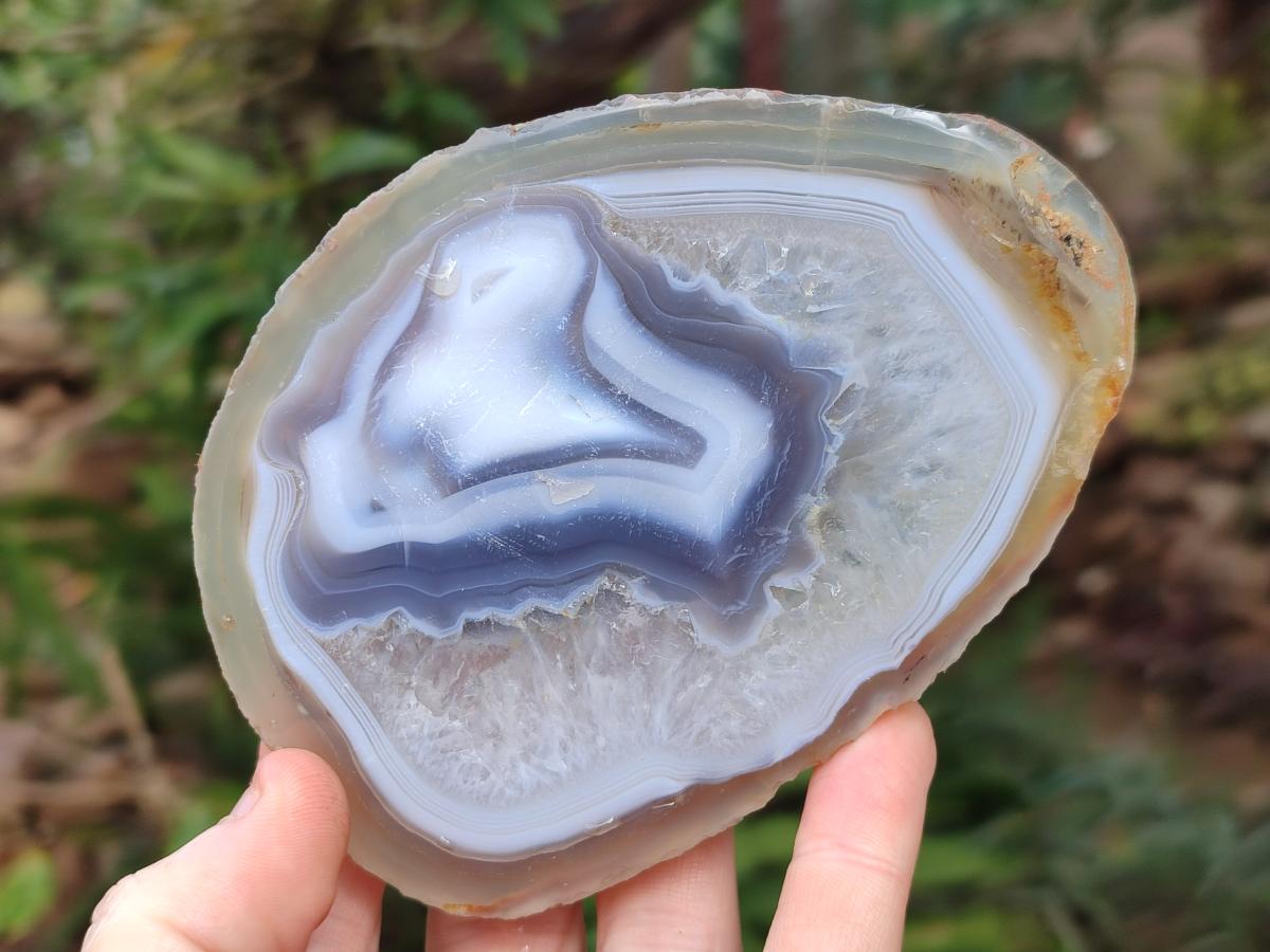 Polished and Natural Banded Agate Slices with Natural Edging x 6 From Madagascar - Toprock Gemstones and Minerals 