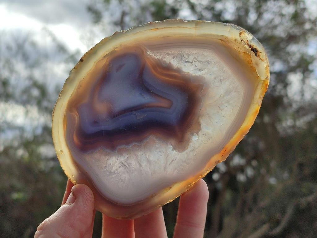 Polished and Natural Banded Agate Slices with Natural Edging x 6 From Madagascar - Toprock Gemstones and Minerals 