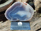 Polished and Natural Banded Agate Slices with Natural Edging x 6 From Madagascar - Toprock Gemstones and Minerals 