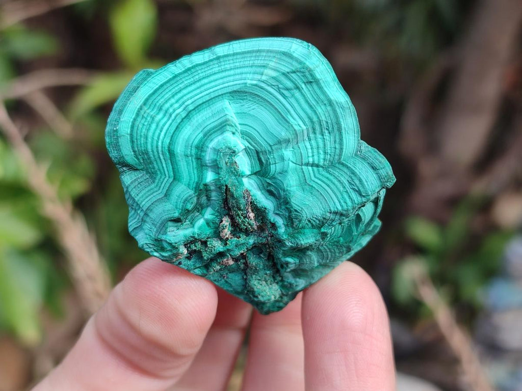 Natural Botryoidal Malachite Specimens x 12 From Congo - Toprock Gemstones and Minerals 