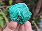 Natural Botryoidal Malachite Specimens x 12 From Congo - Toprock Gemstones and Minerals 
