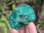 Natural Botryoidal Malachite Specimens x 12 From Congo - Toprock Gemstones and Minerals 