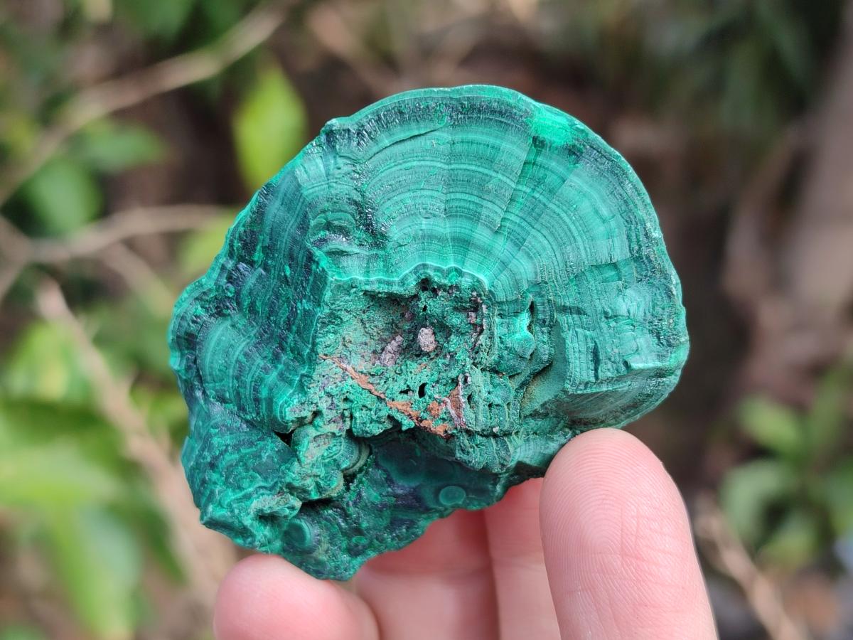 Natural Botryoidal Malachite Specimens x 12 From Congo - Toprock Gemstones and Minerals 