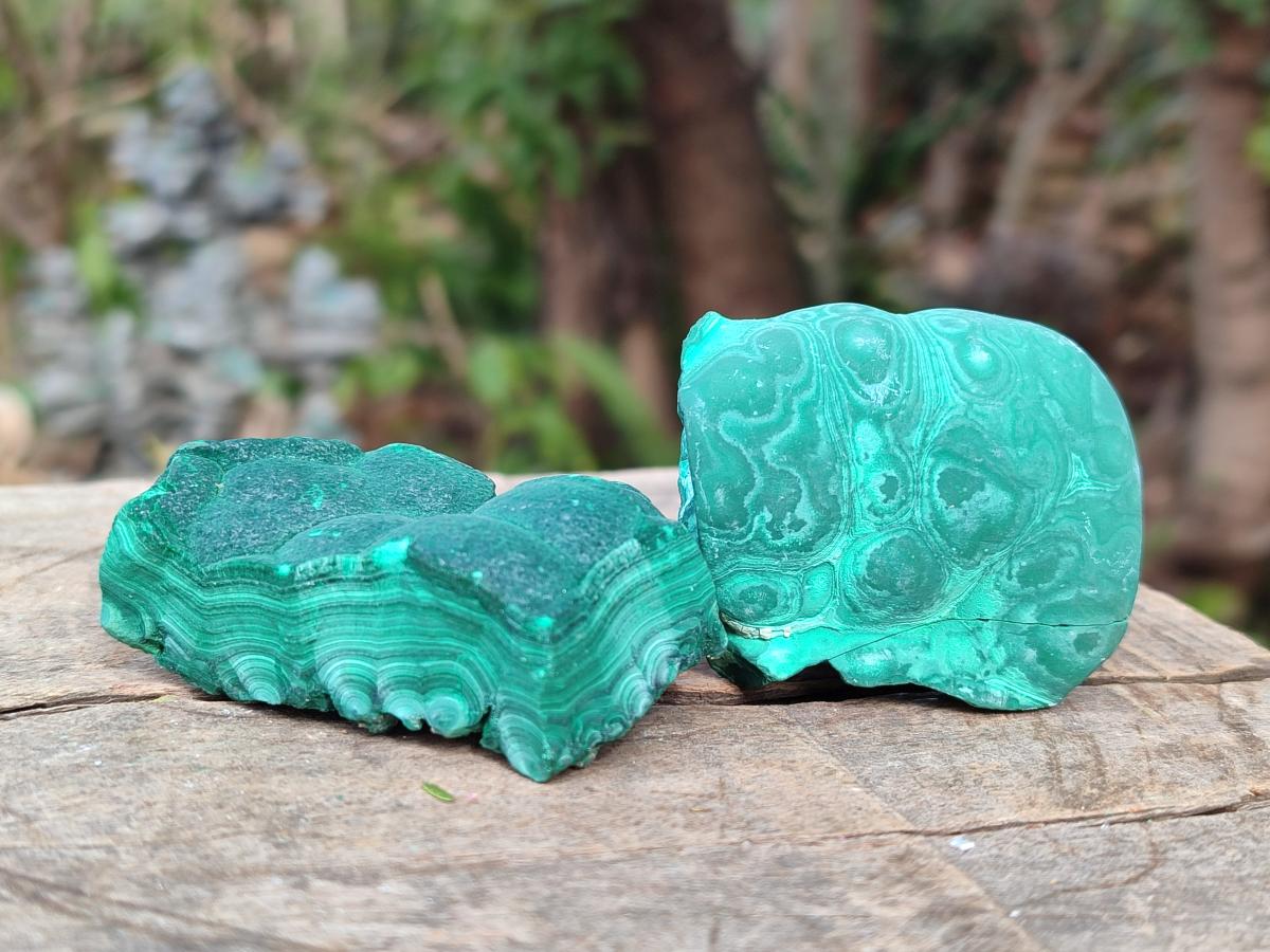 Natural Botryoidal Malachite Specimens x 12 From Congo - Toprock Gemstones and Minerals 