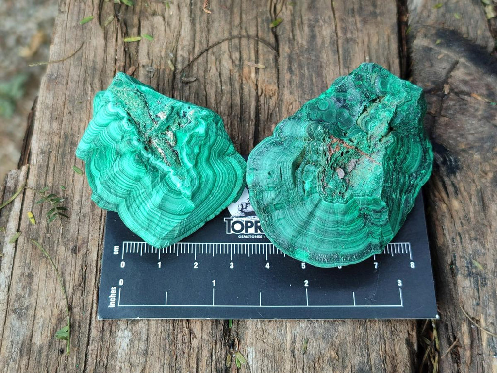 Natural Botryoidal Malachite Specimens x 12 From Congo - Toprock Gemstones and Minerals 