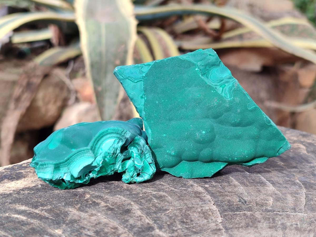 Natural Botryoidal Malachite Specimens x 12 From Congo - Toprock Gemstones and Minerals 