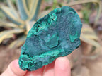 Natural Botryoidal Malachite Specimens x 12 From Congo - Toprock Gemstones and Minerals 