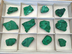 Natural Botryoidal Malachite Specimens x 12 From Congo - Toprock Gemstones and Minerals 