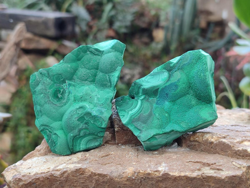 Natural Botryoidal Malachite Specimens x 12 From Congo - Toprock Gemstones and Minerals 