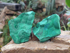 Natural Botryoidal Malachite Specimens x 12 From Congo - Toprock Gemstones and Minerals 