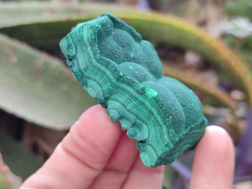 Natural Botryoidal Malachite Specimens x 12 From Congo - Toprock Gemstones and Minerals 