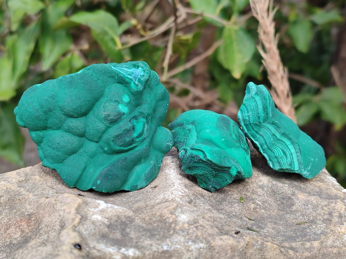 Natural Botryoidal Malachite Specimens x 12 From Congo - Toprock Gemstones and Minerals 