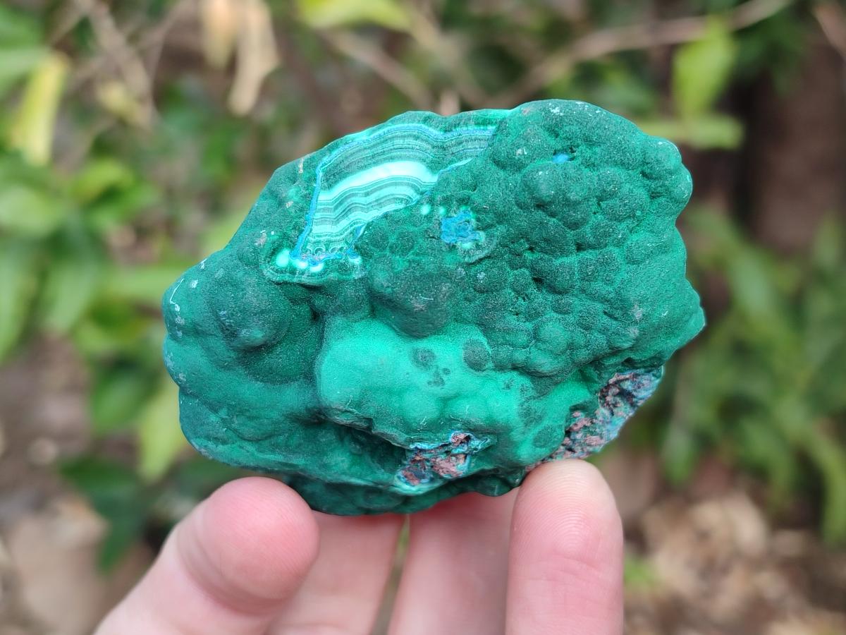 Natural Botryoidal Malachite Specimens x 12 From Congo - Toprock Gemstones and Minerals 