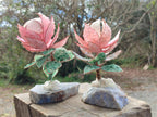 Hand Made Gemstone King Protea Flowers x 2 From South Africa - Toprock Gemstones and Minerals 