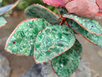 Hand Made Gemstone King Protea Flowers x 2 From South Africa - Toprock Gemstones and Minerals 