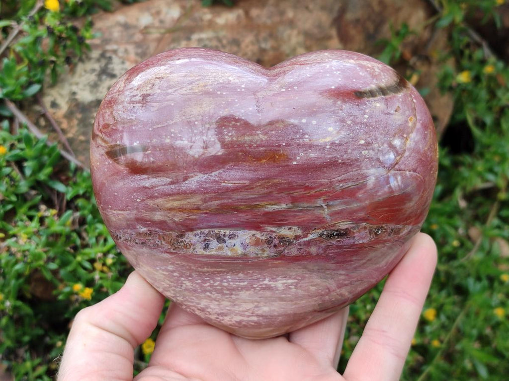 Polished Red Podocarpus Petrified Wood Hearts x 2 From Marovoay, Madagascar - Toprock Gemstones and Minerals 