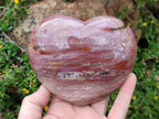Polished Red Podocarpus Petrified Wood Hearts x 2 From Marovoay, Madagascar - Toprock Gemstones and Minerals 