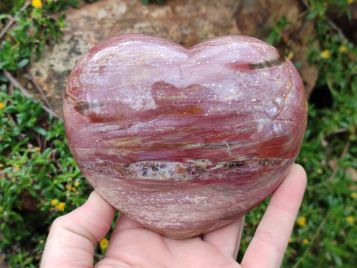 Polished Red Podocarpus Petrified Wood Hearts x 2 From Marovoay, Madagascar - Toprock Gemstones and Minerals 