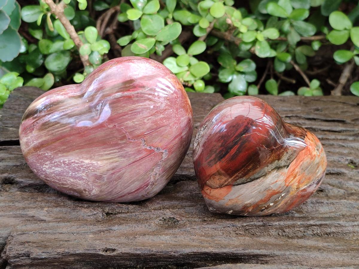 Polished Red Podocarpus Petrified Wood Hearts x 2 From Marovoay, Madagascar - Toprock Gemstones and Minerals 