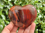 Polished Red Podocarpus Petrified Wood Hearts x 2 From Marovoay, Madagascar - Toprock Gemstones and Minerals 