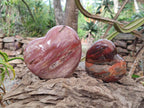 Polished Red Podocarpus Petrified Wood Hearts x 2 From Marovoay, Madagascar - Toprock Gemstones and Minerals 